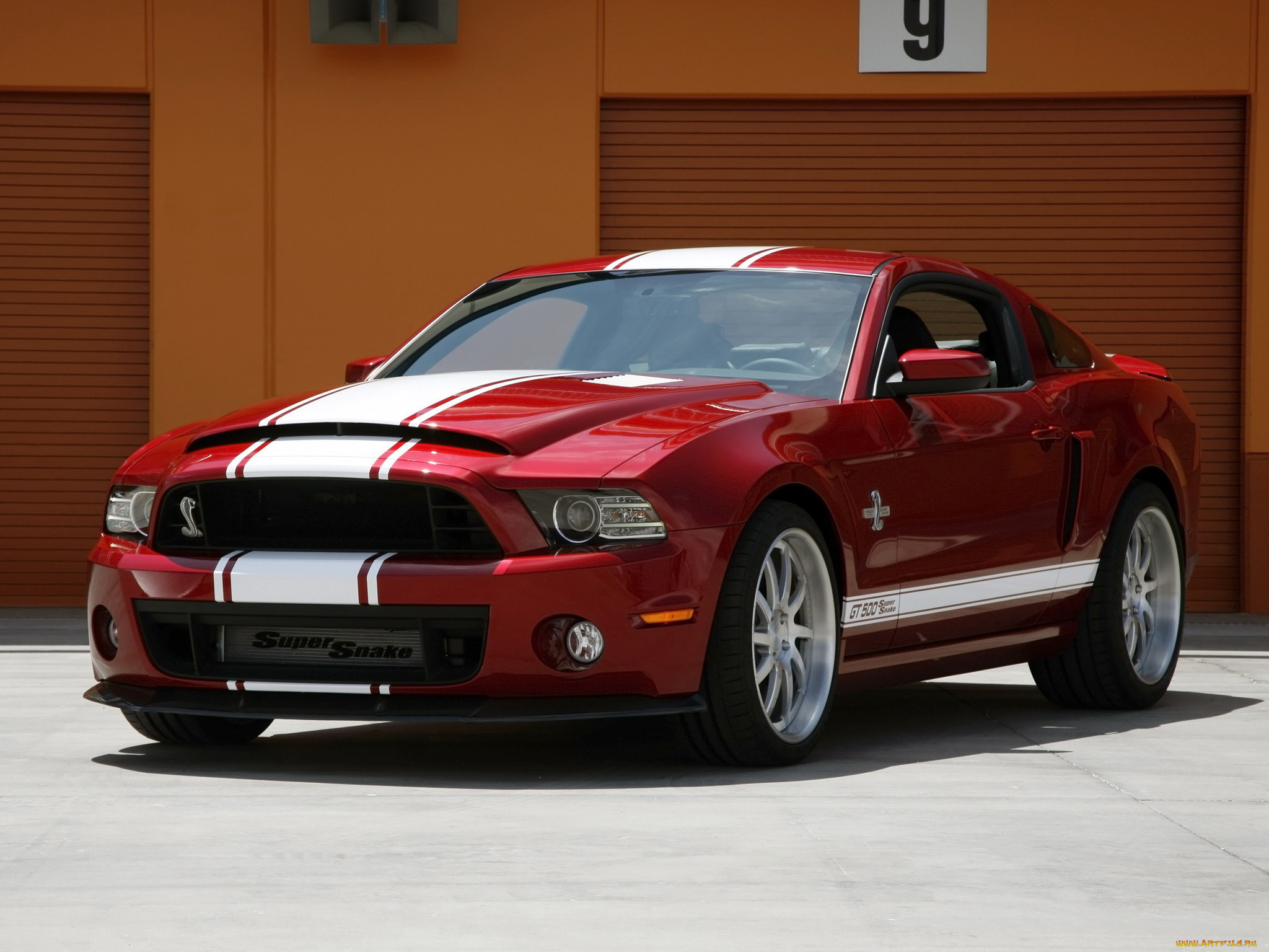 , mustang, gt500, shelby, snake, super, 